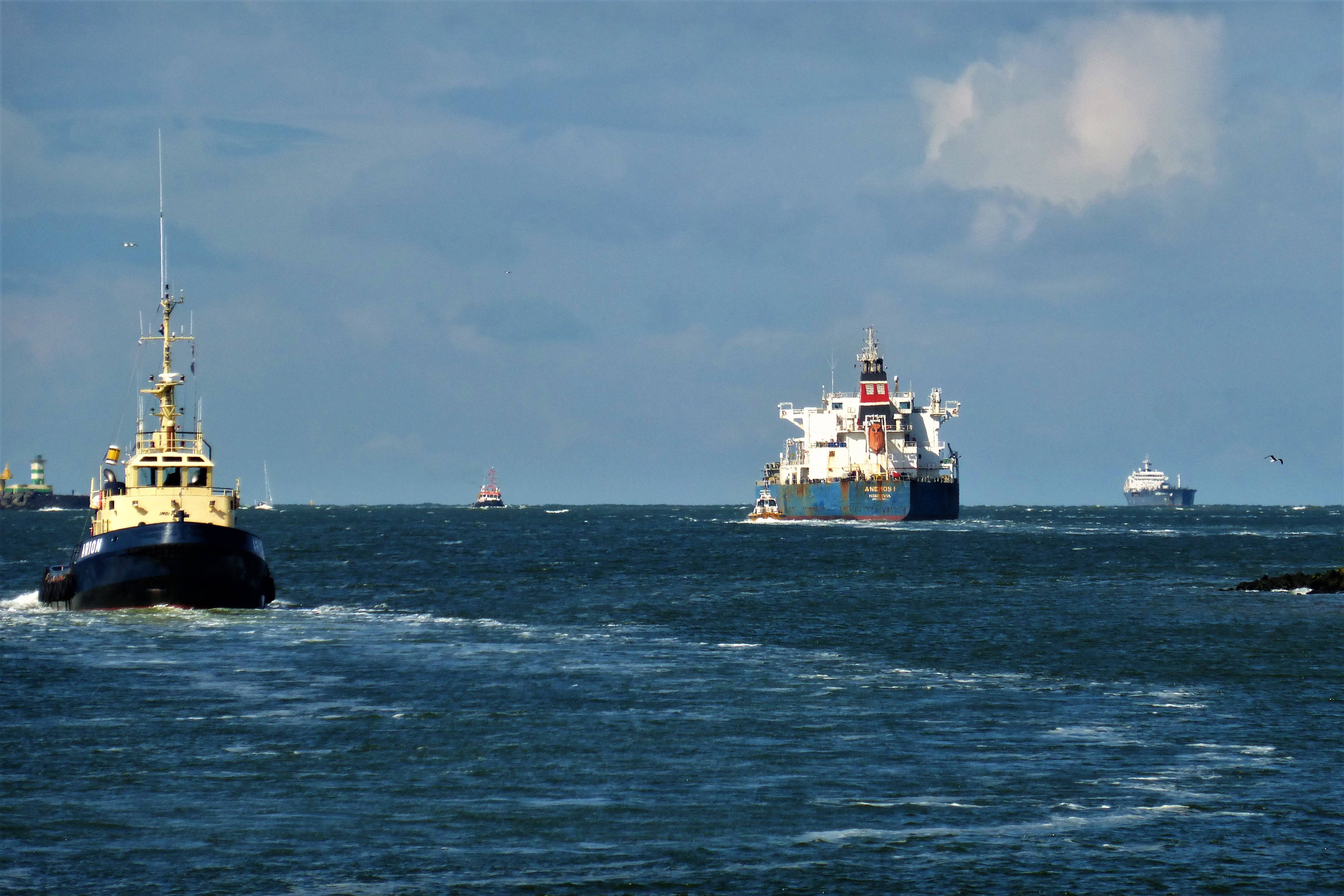 Pieren IJmuiden   12-04-21 